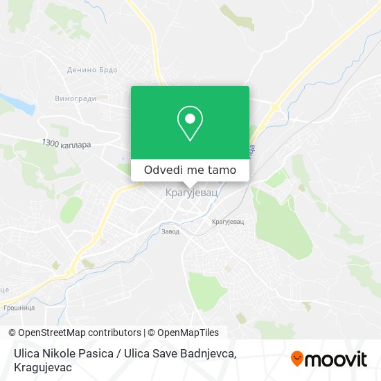 Ulica Nikole Pasica / Ulica Save Badnjevca mapa