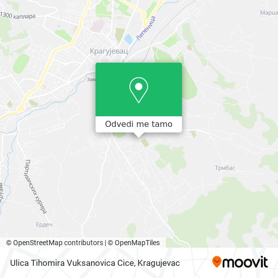 Ulica Tihomira Vuksanovica Cice mapa