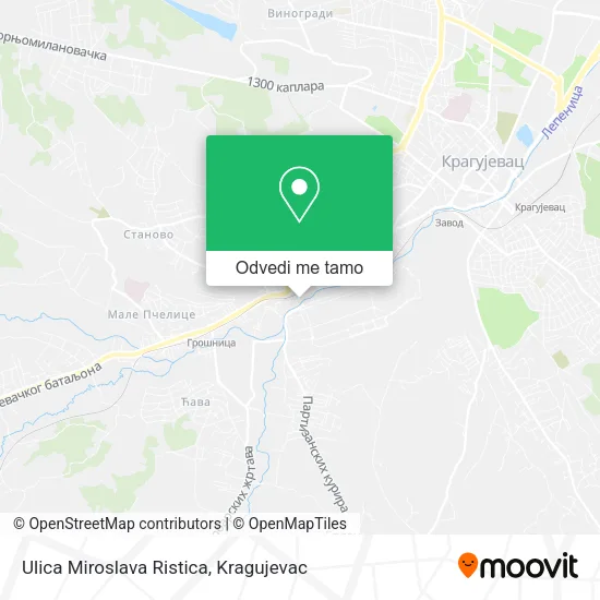 Ulica Miroslava Ristica mapa