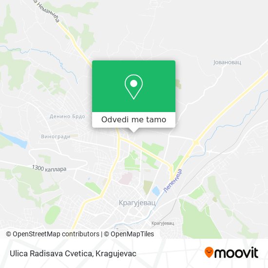 Ulica Radisava Cvetica mapa