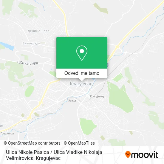 Ulica Nikole Pasica / Ulica Vladike Nikolaja Velimirovica mapa