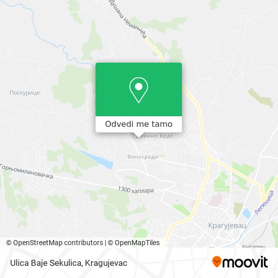 Ulica Baje Sekulica mapa