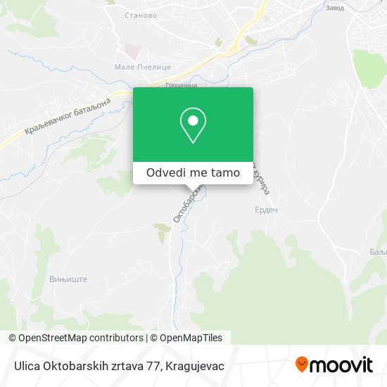 Ulica Oktobarskih zrtava 77 mapa