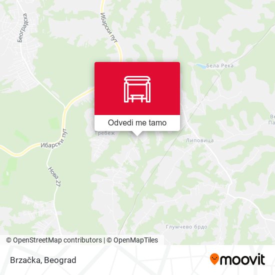 Brzačka mapa