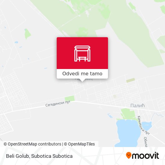 Beli Golub mapa