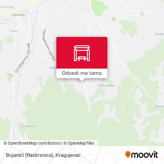 Bojanići (Raskrsnica) mapa