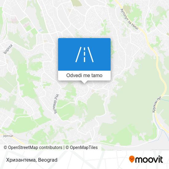 Хризантема mapa