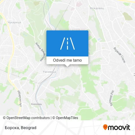 Борска mapa