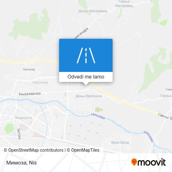 Мимоза mapa