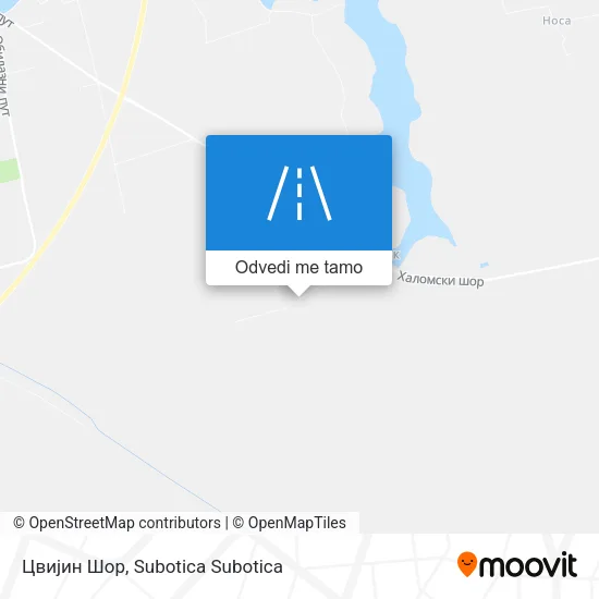 Цвијин Шор mapa