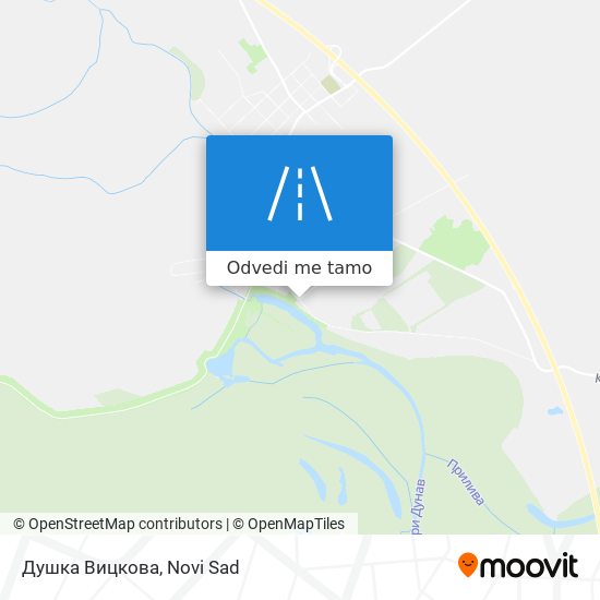 Душка Вицкова mapa