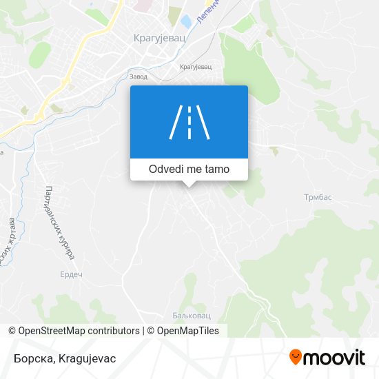Борска mapa