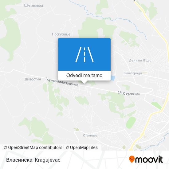 Власинска mapa