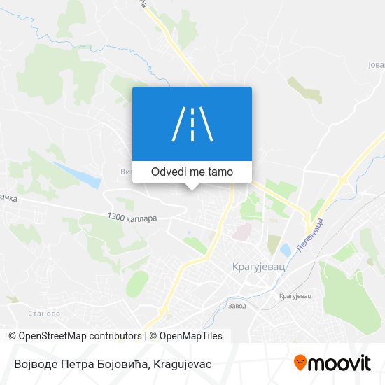 Војводе Петра Бојовића mapa