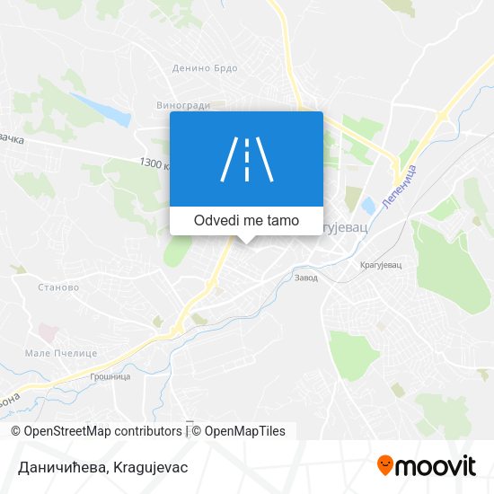 Даничићева mapa