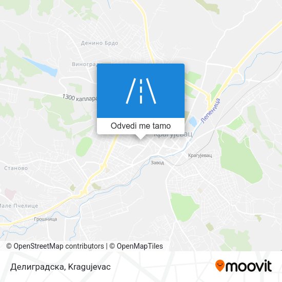 Делиградска mapa