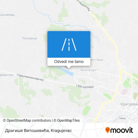 Драгише Витошевића mapa