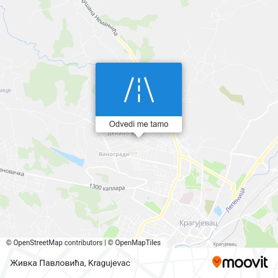 Живка Павловића mapa