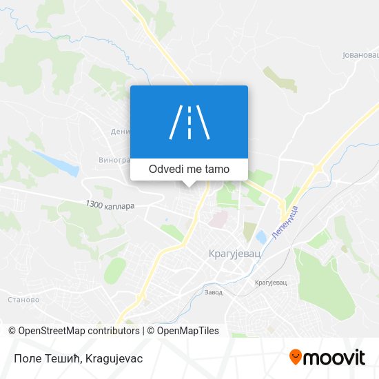 Поле Тешић mapa
