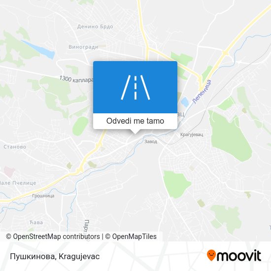 Пушкинова mapa