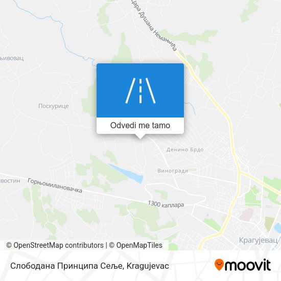 Слободана Принципа Сеље mapa