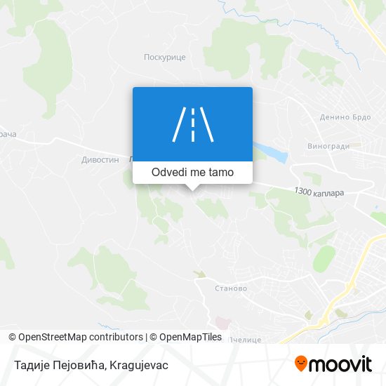 Тадије Пејовића mapa