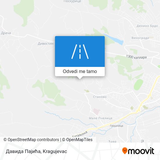 Давида Пајића mapa
