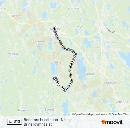 313 Bus Line Map