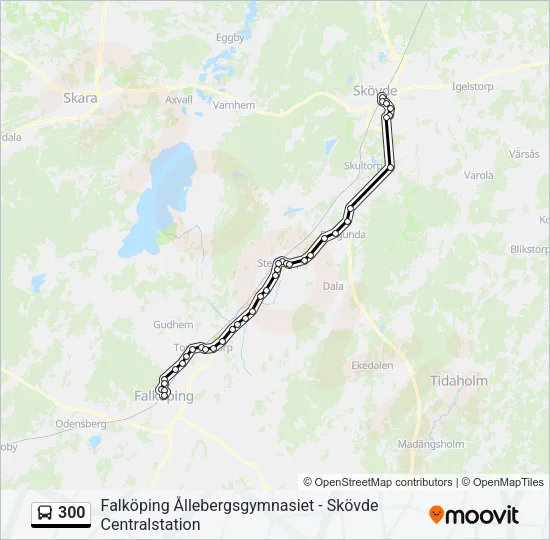 300  Line Map