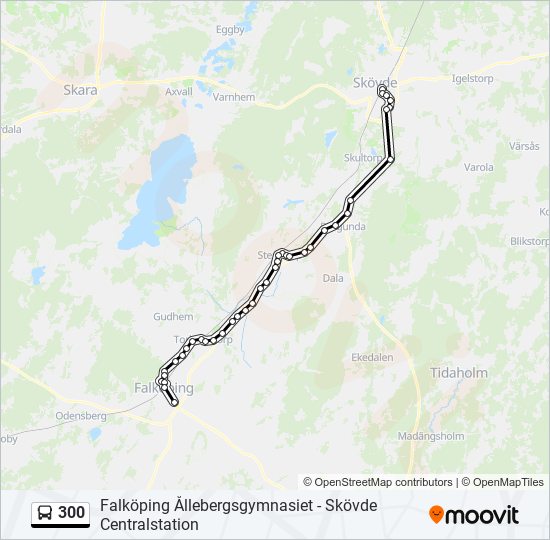 300 bus Line Map