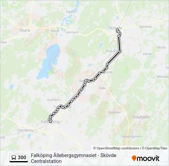 300  Line Map