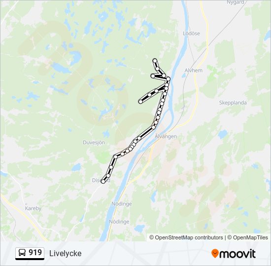 919 bus Line Map