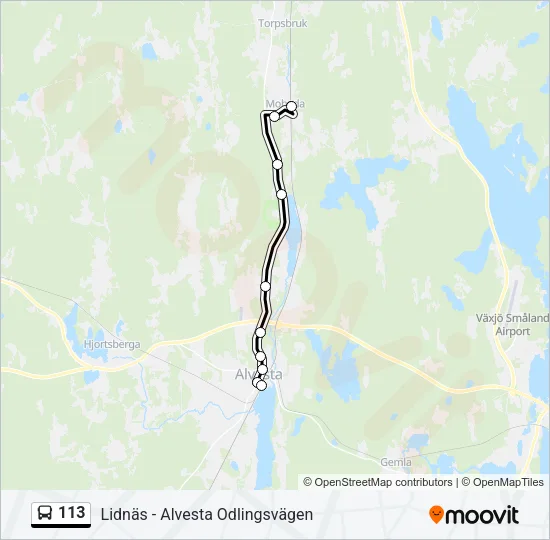 113 Bus Line Map