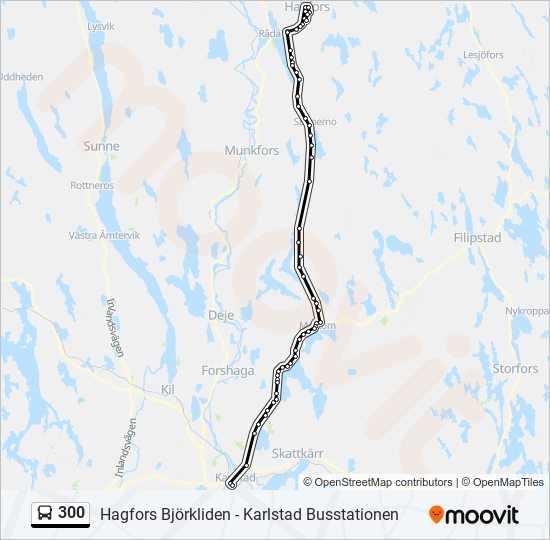 300 Route: Schedules, Stops & Maps - Hagfors Björkliden (Updated)