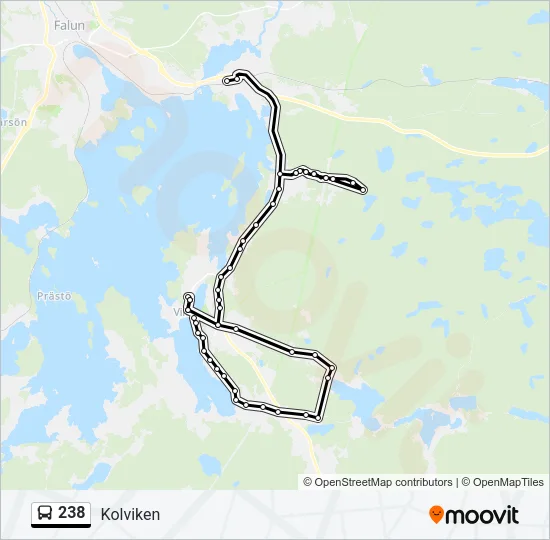 238 Bus Line Map