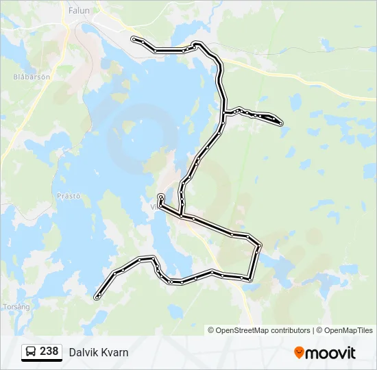 238 Bus Line Map
