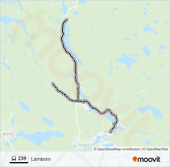 239 Bus Line Map