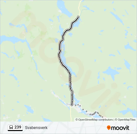 239 Bus Line Map