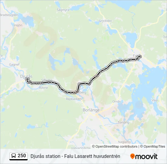 250 Bus Line Map
