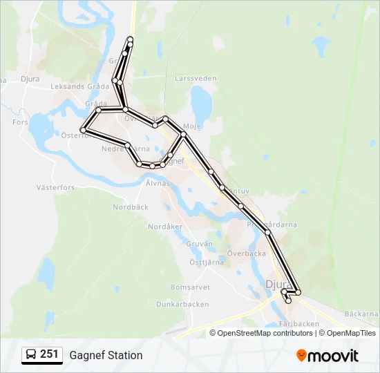 251 Bus Line Map