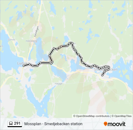 291 Bus Line Map