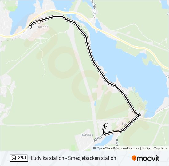 293 bus Line Map