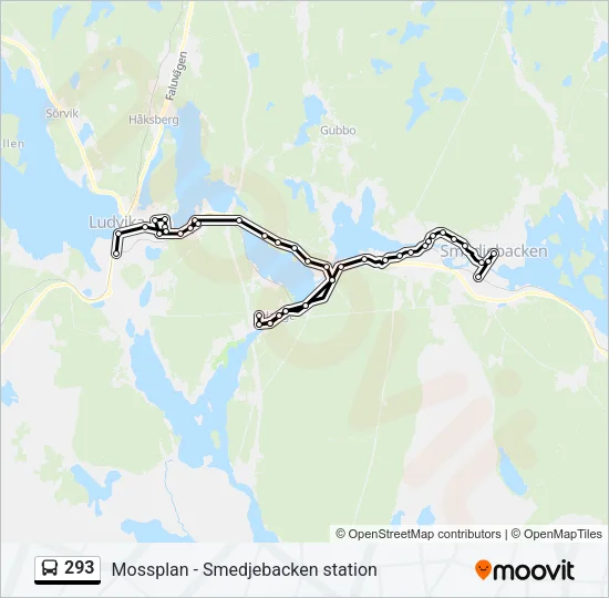 293 Bus Line Map