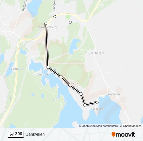 300  Line Map