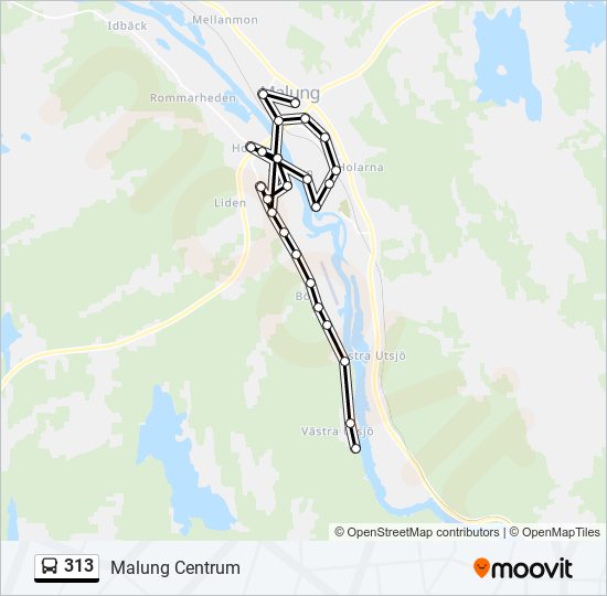 313 bus Line Map