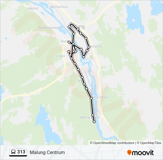 313 Bus Line Map