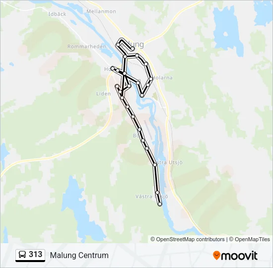 313 Bus Line Map
