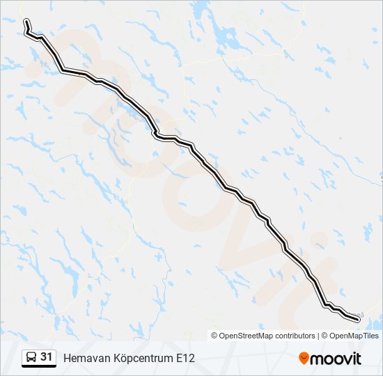 31 bus Line Map