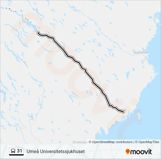 31 Bus Line Map