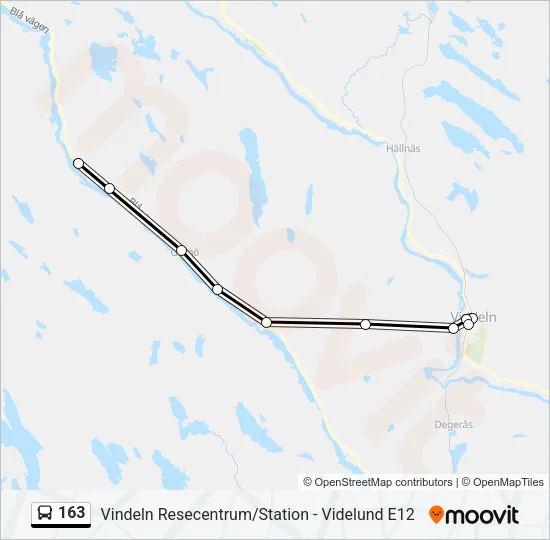 163 Bus Line Map